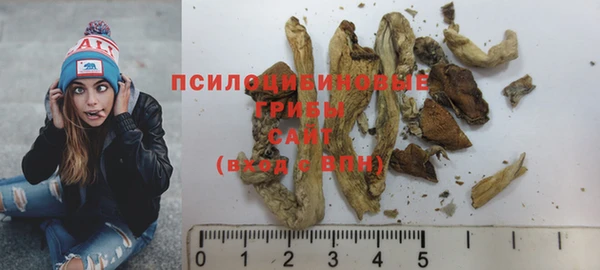 прущие крисы Коряжма