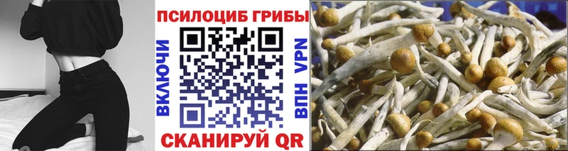 даркнет Telegram Альметьевск Галлюциногенные грибы GOLDEN TEACHER