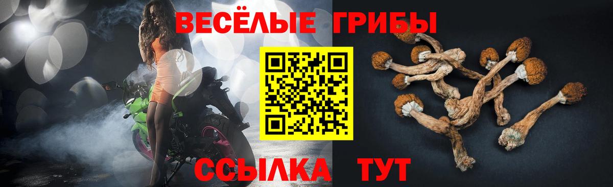 Псилоцибиновые грибы прущие грибы  Псилоцибиновые грибы Psilocybine cubensis  Альметьевск  где купить наркоту  Вход с VPN 