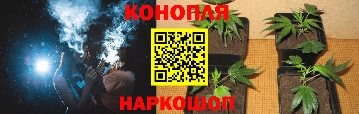 Конопля сатива Альметьевск